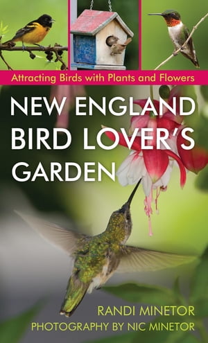 New England Bird Lover's Garden