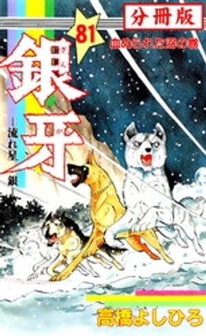 銀牙ー流れ星　銀ー 【分冊版】 81