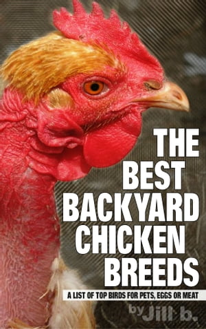 The Best Backyard Chicken Breeds: A List of Top Birds for Pets, Eggs and Meat