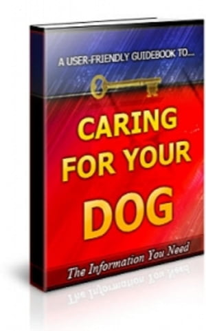 How To Caring For Your Dog