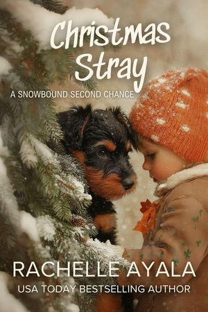 Christmas StrayŻҽҡ[ Rachelle Ayala ]