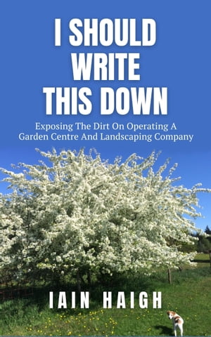 I Should Write This Down【電子書籍】[ Iain Haigh ]