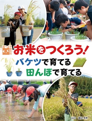 調べる学習百科　お米をつくろう！バケツで育てる 田んぼで育てる【電子書籍】[ 山口誠之 ]