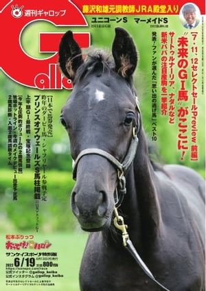 週刊Gallop 2022年6月19日号【電子書籍】のサムネイル