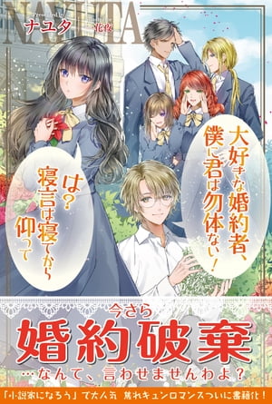 大好きな婚約者、僕に君は勿体ない! は?寝言は寝てから仰って