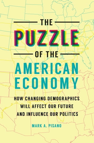 The Puzzle of the American Economy