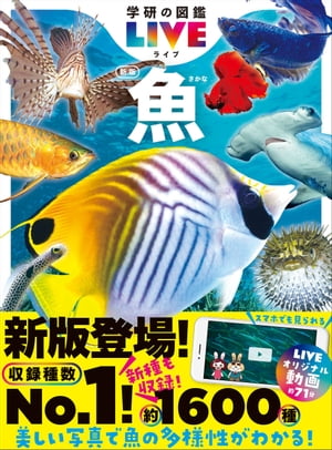 魚 新版