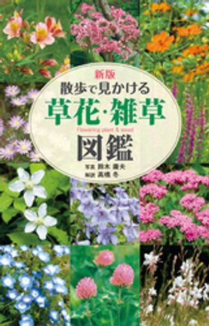 新版　散歩で見かける　草花・雑草図鑑