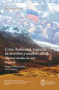 Crisis Ambiental, negaci?n de derechos y estallido social: algunos estudios de caso. Tomo II