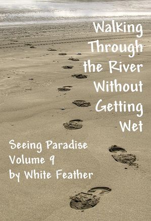 Seeing Paradise, Volume 9: Walking Through the River Without Getting Wet