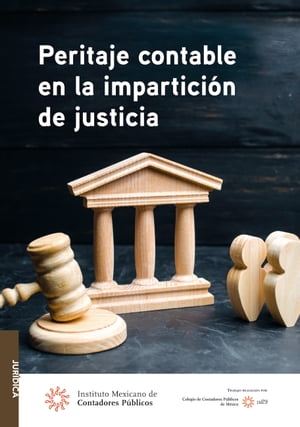 Peritaje contable en la impartición de justicia