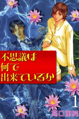 不思議は何でできているか【電子書籍】[ 高口里純 ]