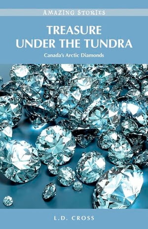 Treasure Under the Tundra