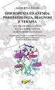 Sideropenia ed anemia: fisiopatologia, diagnosi e terapia Studio di prevalenza in una popolazione di donatori di sangue【電子..