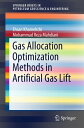 Gas Allocation Optimization Methods in Artificial Gas Lift【電子書籍】 Ehsan Khamehchi