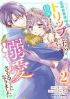 ロマンス小説にトリップしたら侍女のはずが王太子殿下に溺愛されることになりました2巻【電子書籍】[ くせつきこ ]