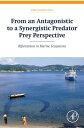 From an Antagonistic to a Synergistic Predator Prey Perspective Bifurcations in Marine Ecosystem【電子書籍】 Tore Johannessen