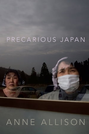 Precarious Japan