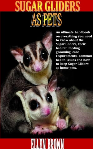 SUGAR GLIDERS AS PETS