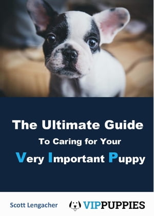 The Ultimate Guide to Caring for your Very Important Puppy
