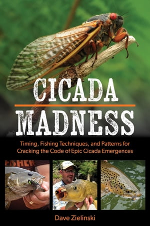 Cicada Madness