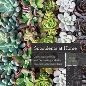 Succulents at Home: Choosing, Growing, and Decorating with the Easiest Houseplants Ever