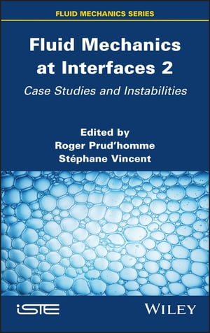 Fluid Mechanics at Interfaces 2 Case Studies and Instabilities