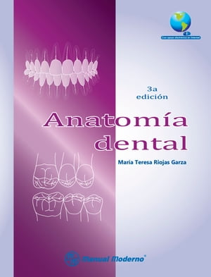 Anatomía dental