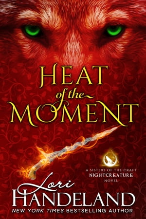 Heat of the Moment A Sexy, Witchy Paranormal Romance Series