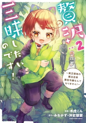 贅沢三昧したいのです！〜貧乏領地の魔法改革 悪役令嬢なんてなりません！〜　2 【電子書店共通特典イラスト付】