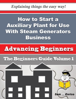How to Start a Auxiliary Plant for Use With Steam Generators Business (Beginners Guide)