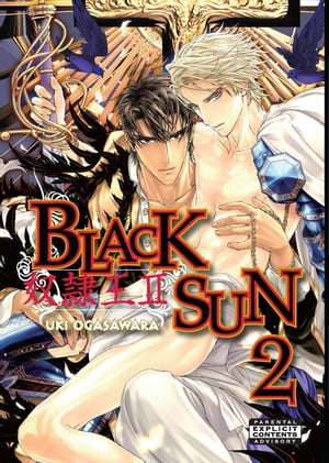 Black Sun Vol. 2 (Yaoi Manga)