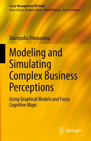 Modeling and Simulating Complex Business Perceptions