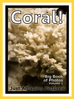 Just Coral Photos! Big Book of Photographs & Pictures of Underwater Sea Coral, Vol. 1