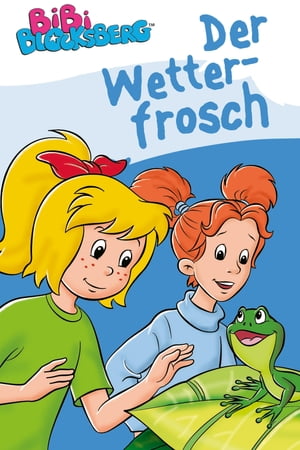 Bibi Blocksberg - Der Wetterfrosch Erstlesebuch