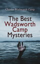 The Best Wadsworth Camp Mysteries Sinister Island, The Abandoned Room, The Gray Mask & The Signal Tower