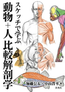 スケッチで学ぶ 動物+人比較解剖学【電子書籍】[ 加藤公太 ]