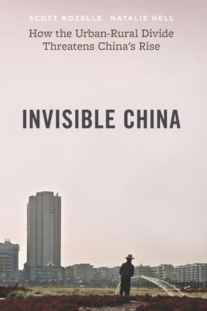 Invisible China