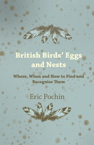 British Birds' Eggs and Nests - Where, When and How to Find and Recognise Them