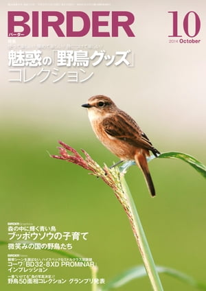 BIRDER2014年10月号