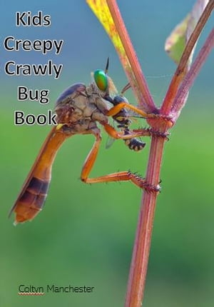 Kids Creepy Crawly Bug Book Photographs of Creep