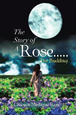 The Story of a Rose.....The Budding