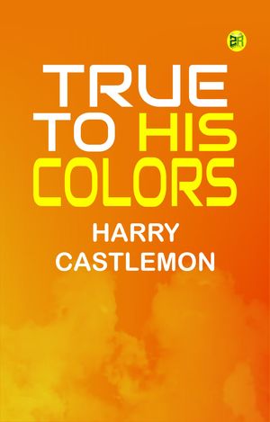 ŷKoboŻҽҥȥ㤨True To His ColorsŻҽҡ[ Harry Castlemon ]פβǤʤ158ߤˤʤޤ