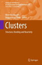 Clusters Structure, Bonding and Reactivity