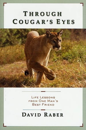 Through Cougar's Eyes