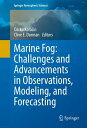 Marine Fog: Challenges and Advancements in Observations, Modeling, and Forecasting