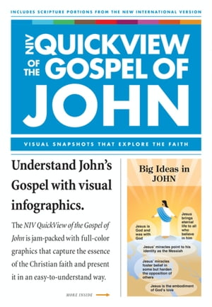 NIV, QuickView of the Gospel of John