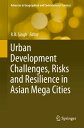 Urban Development Challenges, Risks and Resilience in Asian Mega Cities【電子書籍】