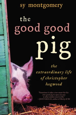 The Good Good Pig