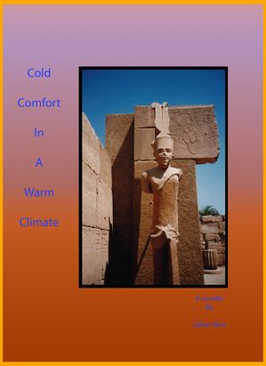 Cold Comfort in a Warm ClimateŻҽҡ[ Julian Silva ]